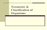 Taxonomy & Classification of Organismstetuteacher.weebly.com/uploads/1/3/3/6/13362371/taxonomy_ppt_2.pdf · Taxonomy & Classification of Organisms . ... Comparison Between Homology