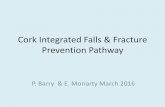 Cork Integrated Falls & Fracture Prevention · PDF fileCork Integrated Falls & Fracture Prevention Pathway P. Barry & E. Moriarty March 2016 . Cork Integration Falls & Fracture ...