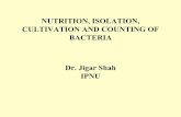 NUTRITION, ISOLATION, CULTIVATION AND COUNTING OF BACTERIA ... · PDF fileProtein synthesis requires considerable amounts of nitrogen as ... Many bacteria can synthesize all their
