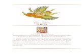 THE GARUDA PURANA - Hanss GARUDA PURANA.pdf · THE GARUDA PURANA Aum Namoh Narrayyanayah The Garuda Purana is a sattvika purana. The others in this group are Vishnu Purana, …