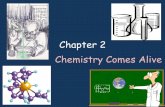 Chapter 2 Chemistry Comes Alive - jkilfoyle.weebly.comjkilfoyle.weebly.com/uploads/1/2/2/8/12288004/anatomy_2_lecture... · Objectives •Describe the important structural characteristics