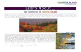 THE CHEMISTRY OF AUTUMN COLORSscifun.chem.wisc.edu/chemweek/AutumnColors2017.pdf · THE CHEMISTRY OF AUTUMN COLORS . Every autumn across the Northern Hemisphere, the lengthening nights