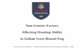 Non Genetic Factors Affecting Hunting Ability in Italian ... · PDF fileNon Genetic Factors . Affecting Hunting Ability . in Italian Scent Hound Dog. ... ENCI 27 November 1989 •