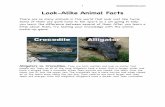 Look-Alike Animal Facts - Teach Beside Me · PDF fileLook-Alike Animal Facts! " ... bumpy skin and frogs have smoother wet skin. Frogs are more shy that toad and will hop away sooner