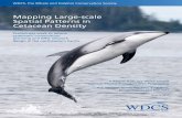 Mapping Large-scale Spatial Patterns in Cetacean · PDF fileLarge-scale Spatial Patterns in Cetacean ... that is now at the centre of the broader fields of spatial analysis, ... biodiversity,