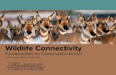 Wildlife Connectivity: Fundamentals for conservation actionlargelandscapes.org/media/...Fundamentals-for-Conservation-Action.pdf · biodiversity is improved connectivity conservation