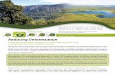 Reducing Deforestation -  · PDF filethough the net deforestation rate has decreased, ... aims to support Guatemala in the ... Objectives Investing in the
