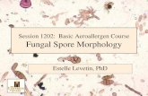 Session 1202: Basic Aeroallergen Course Fungal Spore ... · PDF fileSession 1202: Basic Aeroallergen Course Fungal Spore Morphology Estelle Levetin, PhD