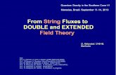 From String Fluxes to DOUBLE and EXTENDED Field · PDF fileFrom String Fluxes to DOUBLE and EXTENDED Field Theory Use G.A, P. Cámara, A. Font ... Coimbra,Aldazabal,Graña,Marqués,Rosabal.
