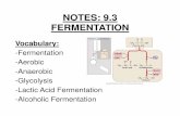 NOTES: 9.3 FERMENTATION - Wilsonville School District ... · PDF fileNOTES: 9.3 FERMENTATION Vocabulary:-Fermentation-Aerobic-Anaerobic-Glycolysis-Lactic Acid Fermentation-Alcoholic