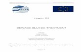 Lesson B5 SEWAGE SLUDGE TREATMENT - TUHH a · PDF fileLesson B5 SEWAGE SLUDGE TREATMENT ... (ﬁ low percentage of total solids) makes the handling ... Anaerobic digestion is among