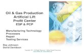Oil & Gas Production Artificial Lift Profit  · PDF file•Artificial Lift ESP applications and training specialist for major oil & gas service company