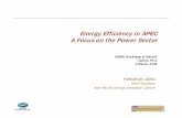 E Effi i i APECEnergy Efficiency in APEC A Focus on the ...aperc.ieej.or.jp/file/2010/9/26/EWG35_1_Efficiency_Yonghun_Jung.pdf · E Effi i i APECEnergy Efficiency in APEC A Focus