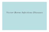 Vector Borne Diseases - Medical Ecology Borne Diseases.pdf · Post-Kala Azar Dermal Leishmanoid Photo: F. Opperdos. Filariasis. Morbidity and Mortality. Lymphatic Filariasis In South