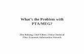 What’s the Problem with PTA/MEG? - · PDF fileWhat’s the Problem with PTA/MEG? Zhu Boliang, Chief Editor, China Chemical Fiber Economic Information Network. ... China Invista (Far