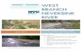 West Branch Neversink River - Welcome to NYC. · PDF fileSullivan County Bridge 187 was replaced in 2009 along Sullivan County Rte 157 bridge at Claryville. Upon completion, the river