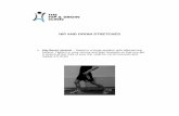 HIP AND GROIN STRETCHES - Hip and Groin Clinic · PDF fileHIP AND GROIN STRETCHES Hip flexor stretch – Stand in a lunge position with affected leg behind. Tighten in your tummy and