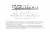 Low Back  · PDF fileNew York State Workers’ Compensation Board New York Mid and Low Back Injury Medical Treatment Guidelines Third Edition, September 15, 2014 iii