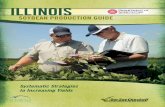 SOYBEAN PRODUCTION GUIDE - Illinois Soybean · PDF fileSOYBEAN PRODUCTION GUIDE ... case, lengthening that ... Fields can be compacted or become crusted as soils dry out, to manage