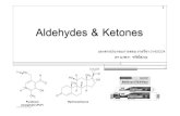 Aldehydes& Ketones - Chem ku-kpschem.flas.kps.ku.ac.th/01403224/2015/01403224-CH05-ALDEHYDE.pdf · Aldehydes& Ketones 1 เอกสารประกอบการสอน รายวิชา
