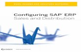Conﬁ Sales and Distribution - download.e- · PDF fileSales and Distribution Con ... mentation, and change management, and he specializes in sales and operation planning and channel