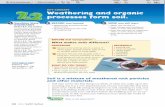 KEY CONCEPT Weathering and organic processes form · PDF fileKEY CONCEPT Weathering and organic processes form ... are going about their daily activities. The living ... microorganisms,