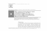 The phytochemistry and ethnobotany of the 3 southern ... · PDF filesouthern African genus Eucomis (Hyacinthaceae: Hyacinthoideae) ... Phytochemistry and ethnobotany of the genus Eucomis