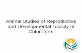 Animal Studies of Reproductive and Developmental Toxicity ... · PDF fileAnimal Studies of the Effects of Chloroform on DART Endpoints 1. Developmental Toxicity a) Rats, inhalation