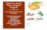 the Giant Peach - KIS Summer Reading · PDF file© 2010 Wise Guys Directions: Answer the following questions about the story James and the Giant Peach. Always use complete sentences.