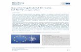 Briefing European Parliamentary Research · PDF fileFaced with this constantly ... Adjusting to hybrid challenges NATO approach: the curse of hard power ... which together form a more
