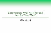 Ecosystems: What Are They and How Do They Work? Chapter 3pnhs.psd202.org/documents/zgonzale/1505746962.pdf · Species Make Up the Encyclopedia of Life Species 1.75 Million species
