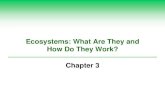 Ecosystems: What Are They and How Do They Work? Chapter 3pnhs.psd202.org/documents/zgonzale/1504198872.pdf · and animal species Disruption will ... Open ocean Continental shelf ...