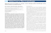 Sterile panniculitis in dogs: new diagnostic findings and ... · PDF fileSterile panniculitis in dogs: new diagnostic ﬁndings and alternative treatments Ha-Jung Kim*, Min-Hee Kang*,