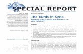 UNiTeD STaTeS iNSTiTUTe oF peaCe SpeCial RepoRt · PDF fileThe United States Institute of Peace is an independent, ... Marine Corps; President, National ... definition certificate,