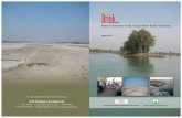Water Governance in the Yamuna River Basin in Haryana The... · Water Governance in the Yamuna River Basin in Haryana ... NTP Nangloi Treatment Plant NTPC National Thermal Power Corporation
