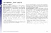Supporting Information - Proceedings of the National ... · PDF fileSupporting Information ... Splicing reporter I : Fibronectin EDI exon Pre-mRN A mRN A + EDI - EDI ... minigene shown
