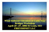 Wind Induced Vibration of Cable Stay Bridges Workshop ... · PDF fileWind Induced Vibration of Cable Stay Bridges Workshop April 25 –27, 2006 St Louis, MO FREYSSINET LLC