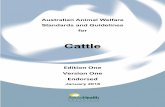 Australian Animal Welfare Standards and Guidelines · PDF file8 Calf-rearing systems ... The Australian Animal Welfare Standards and Guidelines for ... for transport — the Australian