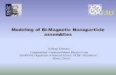 Modeling of Bi-Magnetic Nanoparticle MAGelm2013/talks/Trohidou.pdf · PDF fileMagnetic Behaviour of Nanoparticles . ... Dense Interplay Dipolar + Exchange . ... FM i j iFM i i i j
