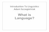 What is language - scholar.harvard.eduscholar.harvard.edu/files/adam/files/what_is_language.ppt.pdf · What is Language? • The ability to use language, ... mental grammar of the