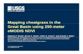 Mapping cheatgrass in theMapping cheatgrass in the Great ... · PDF file3Bureau of Land Management-Great Basin Restoration Initiative. U.S. Department of the Interior U.S. Geological