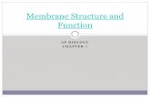 Membrane Structure and Function · PDF filePlasma Membrane Separates the living cell from its nonliving surroundings. Very thin barrier, 8 nm thick ¡ 1/8000 of a paper Controls traffic