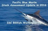 ISC Billfish Working Group - WCPFC 4.4.4 ISC16_BUM_SAR... · ISC Billfish Working Group . ... • Catch data for 2011 were incomplete for the 2013 assessment, ... the final model