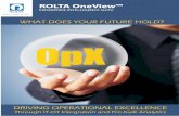 Rolta OneView 03 16 · PDF filea plethora of value-propositions emanating especially from the diverse growth of technology. ... Strategy Maps) Standardize and Consolidate Information