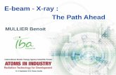E-beam - X-ray : The Path Ahead · PDF fileX-rays for Cargo screening ... X-Ray Converter . X-rays . X-ray . E-Beam . accelerator . Same technologies from a radiation point of view