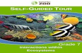 ELF SELF-GUIDED TOUR - Toronto · PDF file5 Mutualism is when both organisms within a relationship benefit from each other. For example hermit crabs can carry around anemones on their