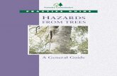 PRACTICE GUIDE HAZARDS - Forestry CommissionFILE/fcpg13.pdf · It should be noted that the present Guide deals only with hazards relating to ... (including the broad categories of
