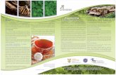 Bioprospecting - Public Understanding Of · PDF fileBioprospecting, also known as ... it is known as biopiracy. ... marine and microbial diversity. South African scientists first began