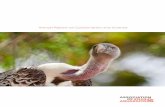 Annual Report on Conservation and Science - Association of ... · PDF fileYouth Badge Programs Zoo School Field Conservation Black-Tailed Prairie Dog Ecosystem Research Project ...