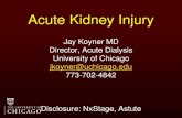 Acute Kidney Injury - National Kidney Foundation of  · PDF fileAcute Kidney Injury Jay Koyner MD ... stones, clots, tumor Extraureteral ... –Spironolactone